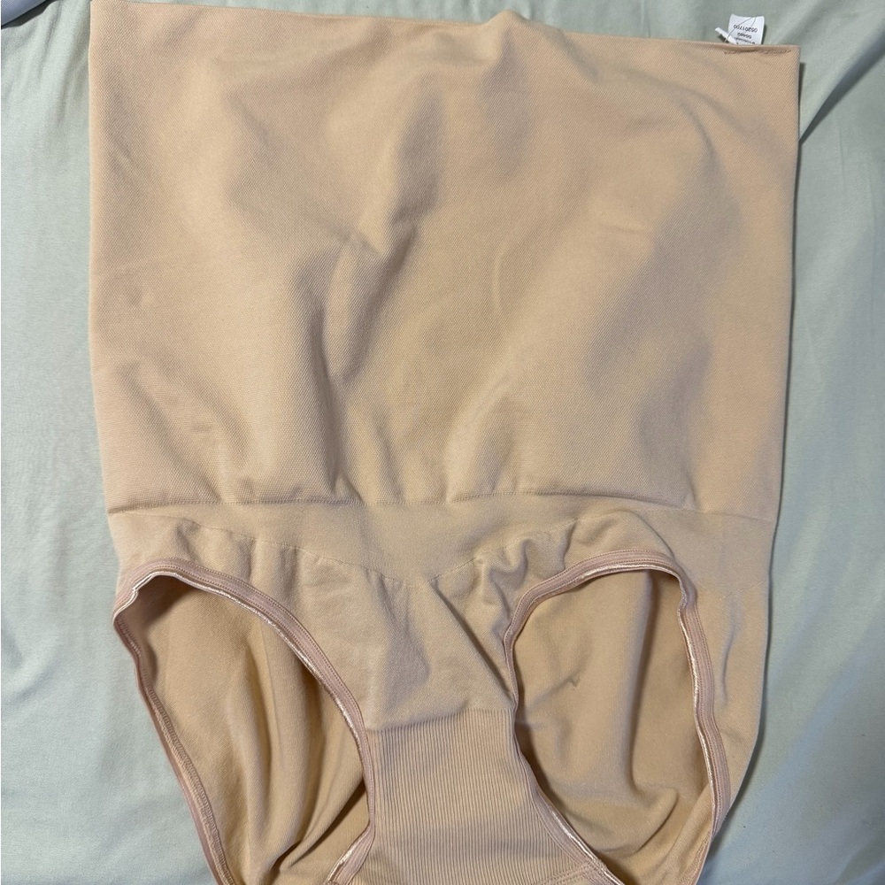 Assets By Spanx Nude High-Waist Shapewear Briefs